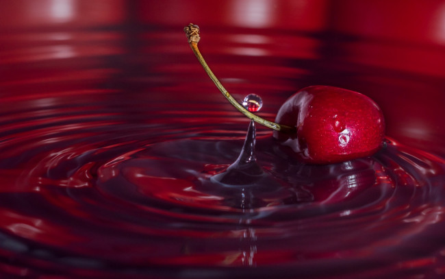 Обои картинки фото еда, вишня,  черешня, ягода, макро, вода, капля, черешня