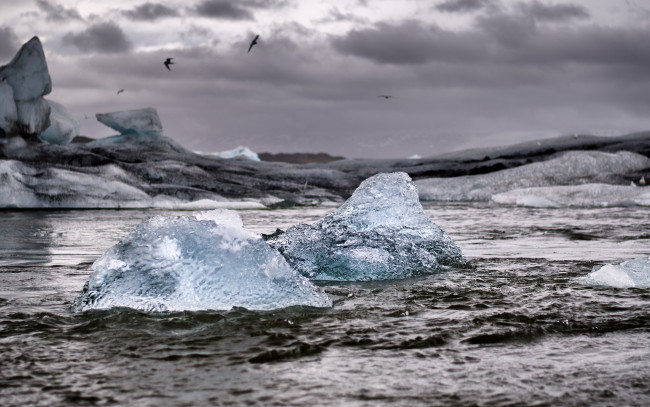 Обои картинки фото природа, айсберги и ледники, льдины, море, чайки, айсберг, шторм