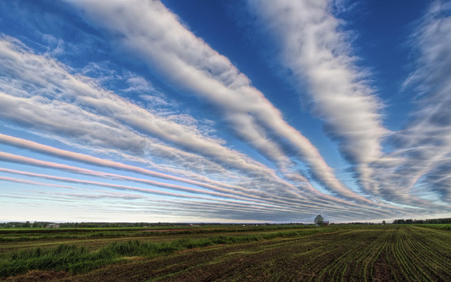 Обои картинки фото природа, облака, пейзаж, небо, поле