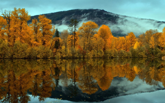 Обои картинки фото природа, реки, озера, осень, деревья, лес, озеро, отражение, туман, сопка