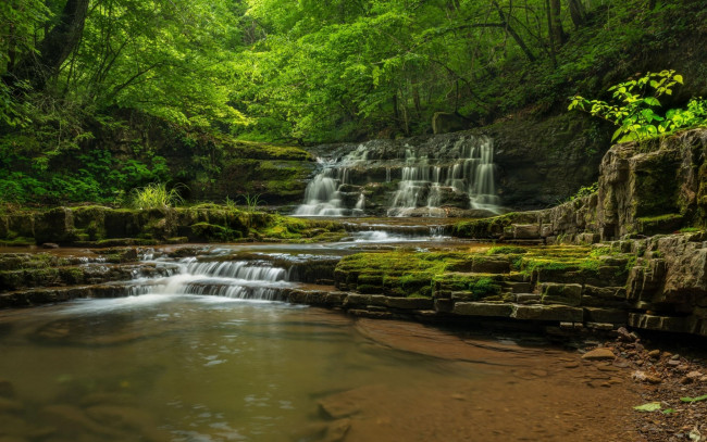 Обои картинки фото природа, водопады, лес, река, водопад, деревья, камни