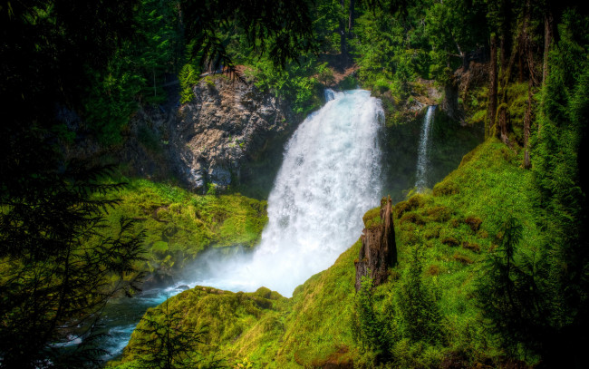Обои картинки фото природа, водопады, сша, oregon, sahalie, falls, водопад, лес, деревья, мох, камни, зелень