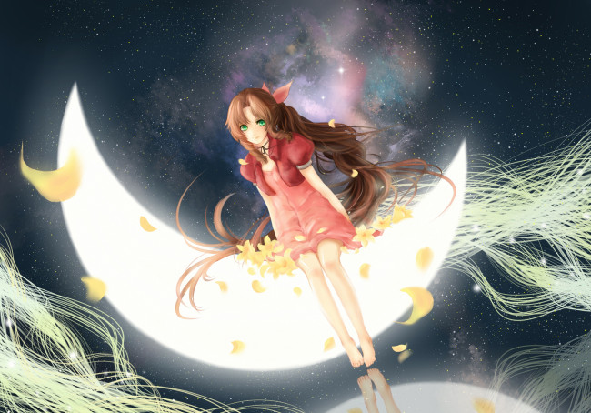 Обои картинки фото аниме, final fantasy, звезды, gainsborough, небо, цветы, девушка, луна, aeris