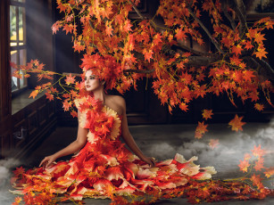 обоя девушки, -unsort , креатив, дерево, осень, листья, стиль, девушка