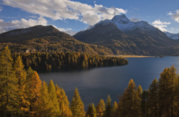 Картинка природа пейзажи швейцария альпы горы switzerland lake sils зильс-им-энгадин деревья озеро зильс alps осень лес im engadin