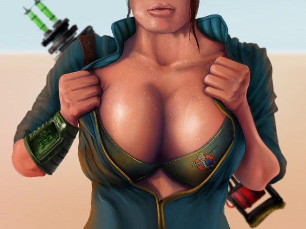 Обои картинки фото видео игры, fallout 4, фон, униформа, девушка