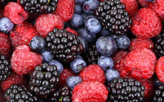 Обои картинки фото еда, фрукты,  ягоды, черника, макро, малина, ежевика