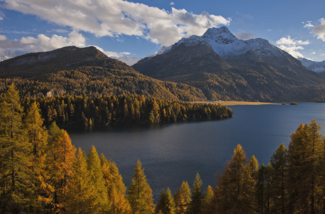 Обои картинки фото природа, пейзажи, швейцария, альпы, горы, switzerland, lake, sils, зильс-им-энгадин, деревья, озеро, зильс, alps, осень, лес, im, engadin