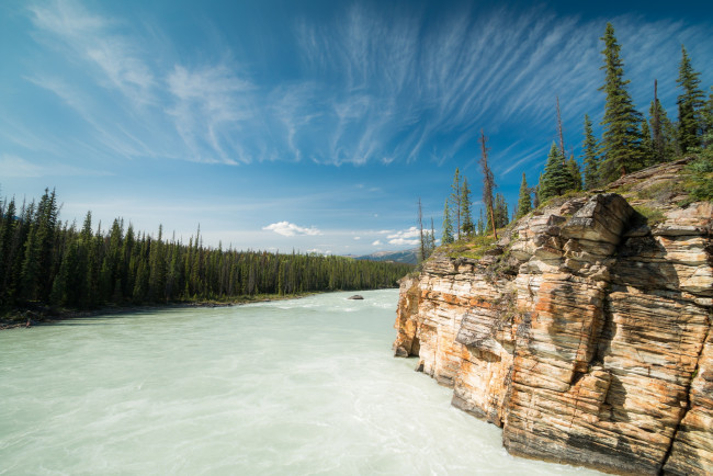 Обои картинки фото природа, реки, озера, bow, river, река, боу, alberta, скала, canada, альберта, канада, лес