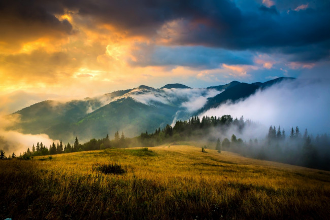 Обои картинки фото украина, природа, пейзажи, трава, деревья, холмы, облака