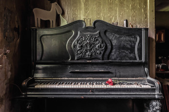 Картинка музыка -музыкальные+инструменты помещение цветок пианино