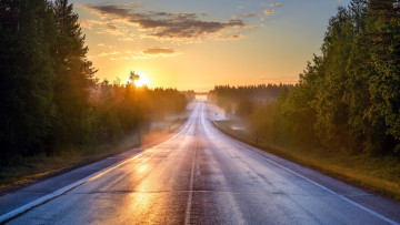 Картинка природа дороги туман лето дорога утро