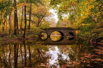 обоя природа, парк, осень, листопад, водоем, мостик