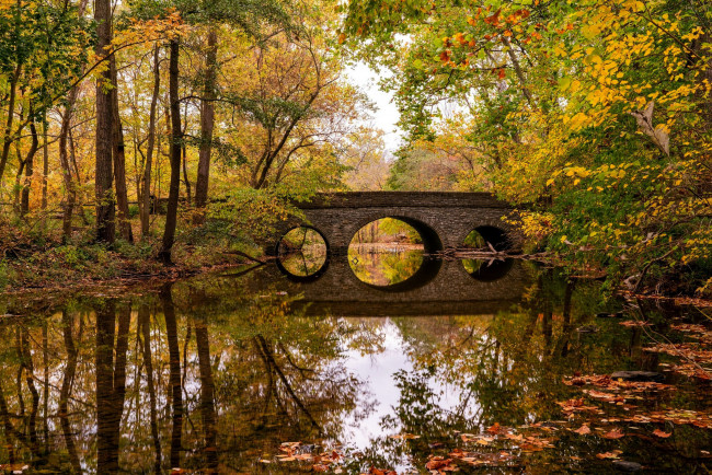 Обои картинки фото природа, парк, осень, листопад, водоем, мостик