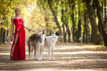 Картинка девушки -+брюнетки +шатенки блондинка красное длинное платье собаки
