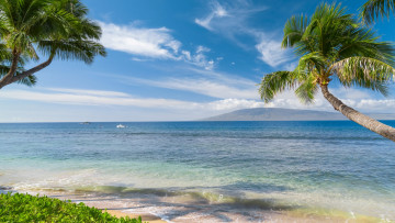 обоя hawaiian beach, природа, тропики, hawaiian, beach