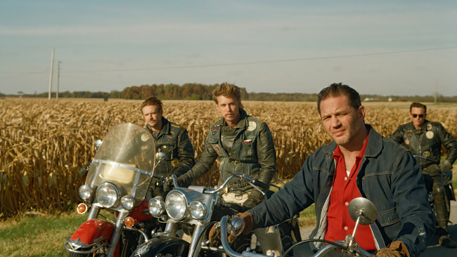 Обои картинки фото the bikeriders , 2023, кино фильмы, the bikeriders, the, bikeriders, tom, hardy, austin, butler, байкеры, драма, криминал