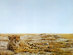 Картинка рисованные животные гепарды