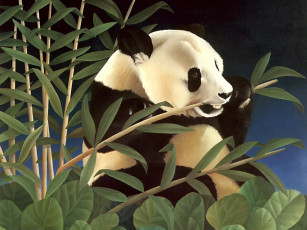 обоя рисованные, животные, панды