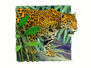 обоя рисованные, животные, ягуары, леопарды