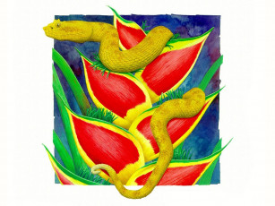 Картинка рисованные животные змеи