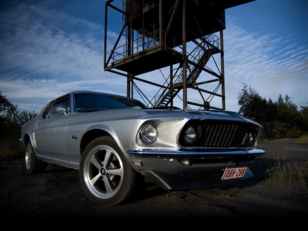 Обои картинки фото 1969, ford, mustang, hardtop, автомобили