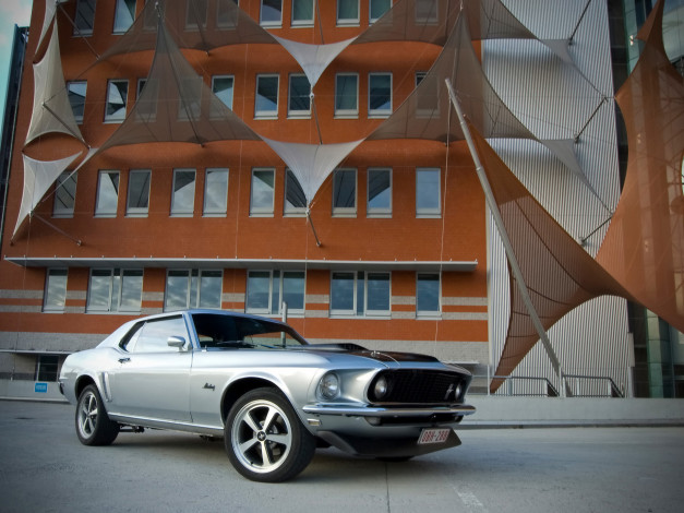 Обои картинки фото 1969, ford, mustang, hardtop, автомобили