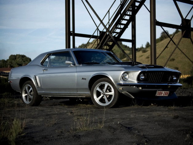 Обои картинки фото 1969, ford, mustang, hardtop, автомобили