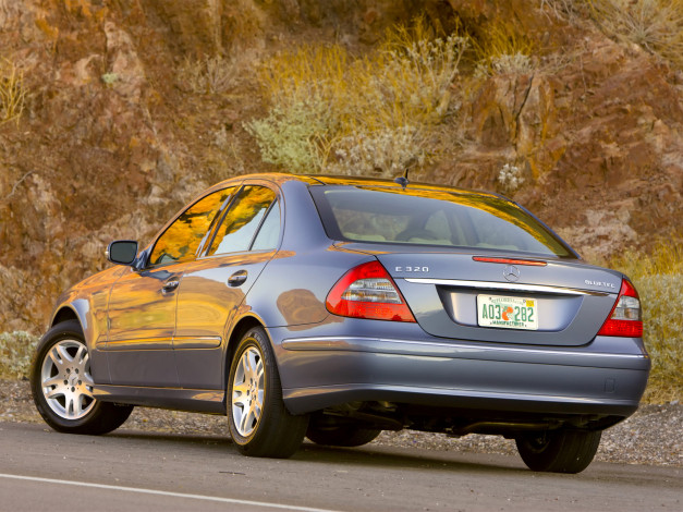 Обои картинки фото 2007, mercedes, e320, bluetec, w221, автомобили, benz