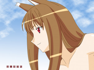 Картинка аниме spice and wolf