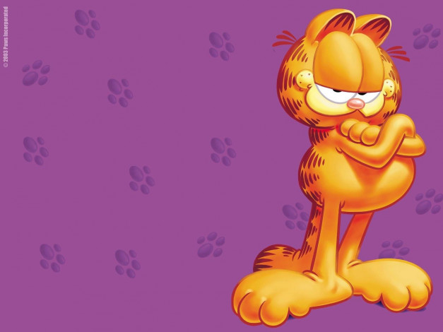 Обои картинки фото garfield, мультфильмы