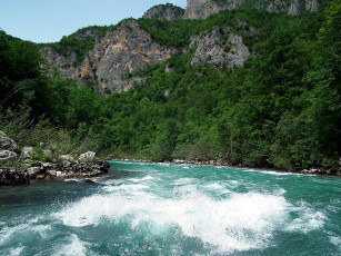 Картинка босния герцеговина река тара природа реки озера поток лес