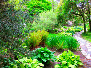 Картинка muckross house garden ireland природа парк