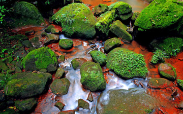 Картинка природа камни минералы мох ручей