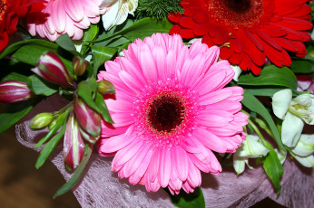 Картинка цветы букеты +композиции розовый