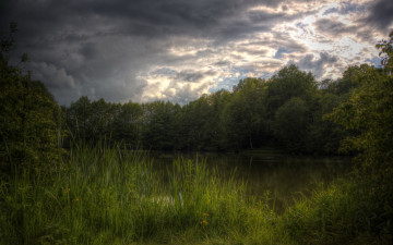 Картинка природа реки озера озеро лето лес