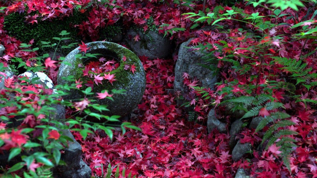 Обои картинки фото природа, листья, камни, листопад, осень