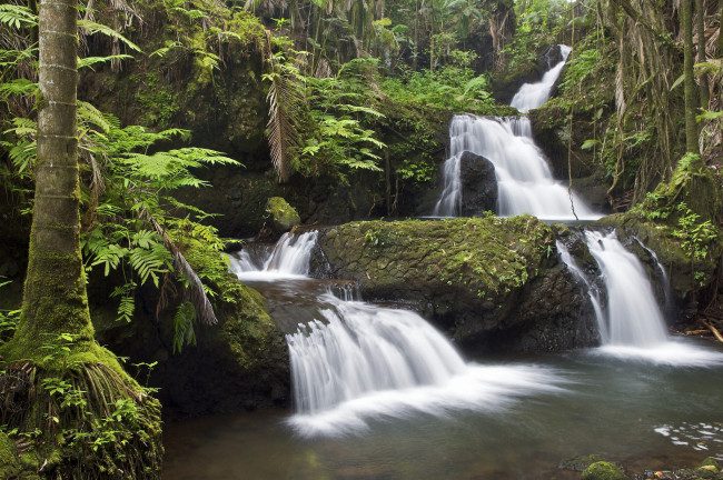 Обои картинки фото природа, водопады, каскад, гавайи, поток, водопад, река, деревья, лес