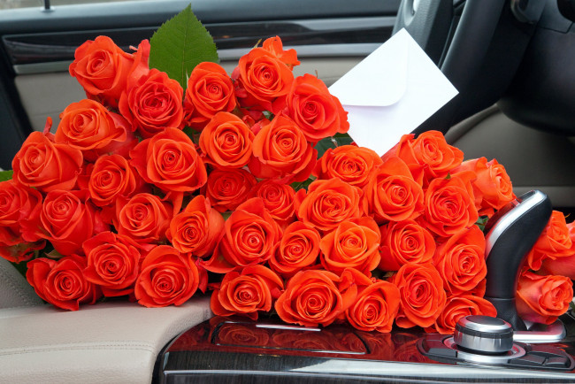 Обои картинки фото цветы, розы, конверт, много, оранжевый