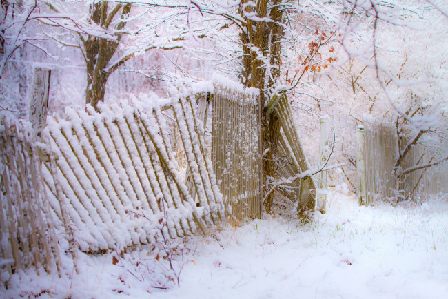 Обои картинки фото природа, зима, деревья, забор, снегопад, снег