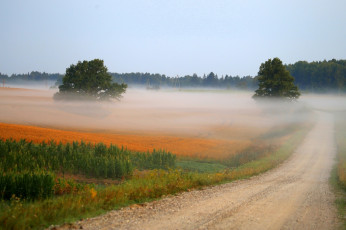 Картинка природа дороги осень dzintra zvagina туман дорога