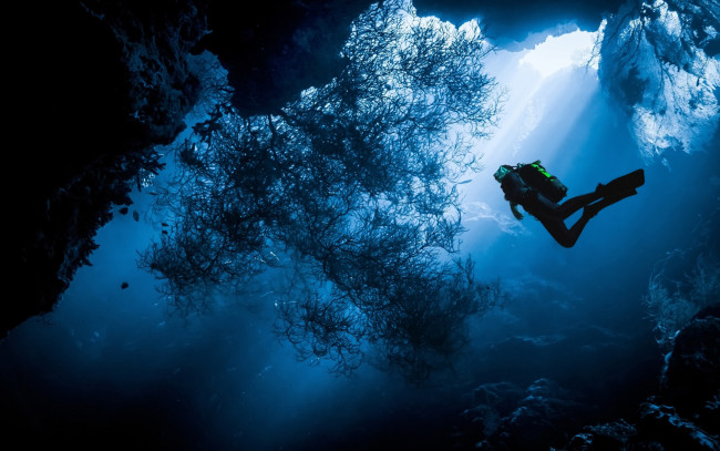 Обои картинки фото спорт, экстрим, вода, море, водолаз, человек, океан, дайвер, дайвинг, под, водой