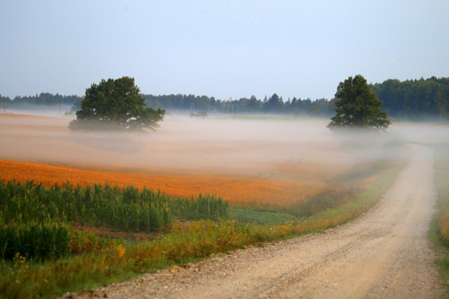 Обои картинки фото природа, дороги, осень, dzintra, zvagina, туман, дорога