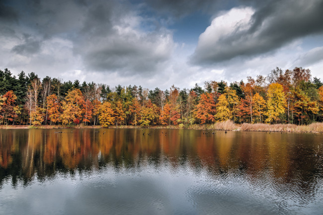 Обои картинки фото природа, реки, озера, осень