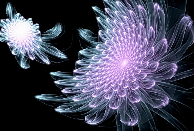 Обои картинки фото 3д графика, цветы , flowers, цвет, фон, узор