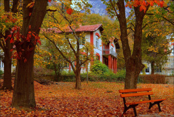 Картинка города -+здания +дома осень скамейка дом парк fall листва park autumn