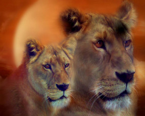 обоя рисованные, животные, львы