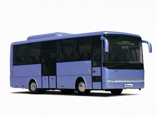 Обои картинки фото автомобили, автобусы, bus