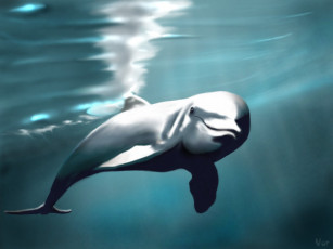 Картинка 3д графика animals животные дельфин