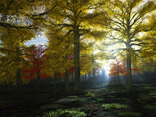 Картинка 3д графика nature landscape природа лес деревья